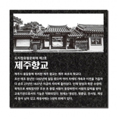 STF-003