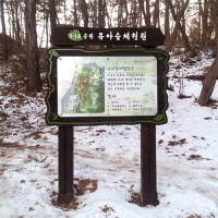 gaonuree-02