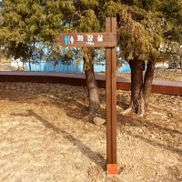 gaonuree-25
