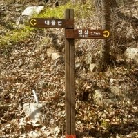 gaonuree-30
