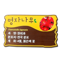 C-005(수목표찰)
