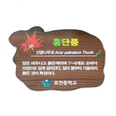 C-010(수목표찰)