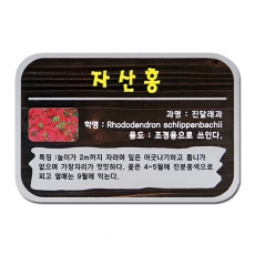 C-035(수목표찰)
