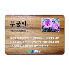 C-040(티크수목표찰)