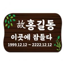 D-043(장패)