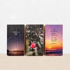 J-116~8(밤하늘,오동도,일몰)